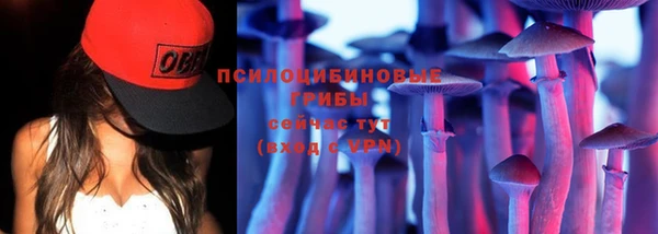 метадон Армянск