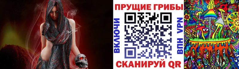 Купить где Спас-Клепики Псилоцибиновые грибы GOLDEN TEACHER